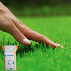 Akademi Tohum 4A Busıness Çim Tohumu - 10 kg