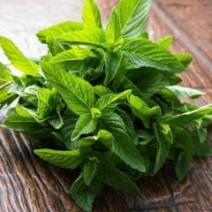 Geleneksel Nane Tohumu – Greenmint Viridis