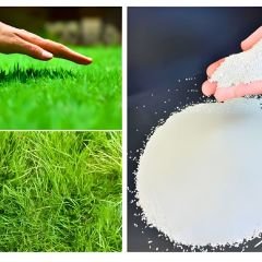 Maxima Azotlu Organomineral Gübre - 20 kg