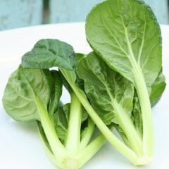 Tatsoi Tohumu - Mini Yaprak Tatsoy - Yaprak Hardalı