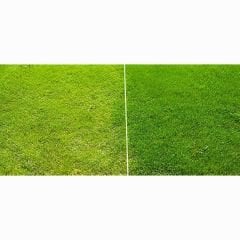 Genta prestige  Çim Gübresi Genel Bakım - 10 kg