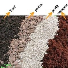 Perlit - Steril Tarım Perliti 5 lt