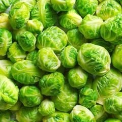 Bürüksel Lahanası Tohumu – Brassica Oleracea Gemmifera