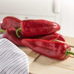 Kapya Biber Tohumu Geleneksel – İtalyan Biber