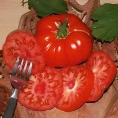 İri Marmande Domates Tohumu Geleneksel