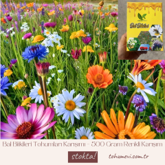 Bal Bitkileri Tohumları Karışımı – 500 Gram Renkli Karışım