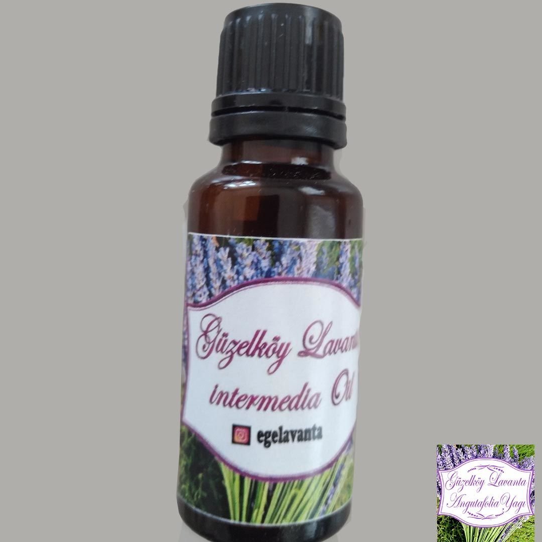 Ege Lavanta Soğuk Sıkım Lavanta Yağı %100 Saf