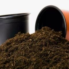 Green Word Pro Mix Çok Amaçlı Bitki Toprağı - 5 lt