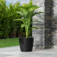 Serinova Yakut Saksı No:4 Drenaj Aparatı ile Birlikte 21,8cm, 7,4 Litre