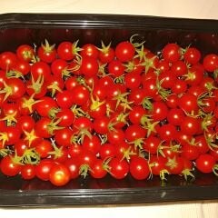 Beybito Domates Fidesi Geleneksel -  Baby Tomato (1 kasa 48 adet)
