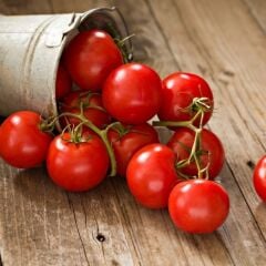 Çeri domates salkım Geleneksel - Tommy toe (1 kasa/48 adet)