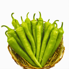 Biber Fidesi – Çarliston (1 kasa /48 adet)