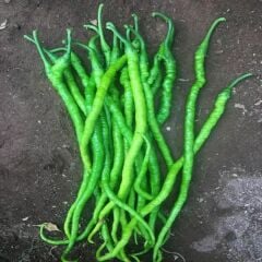 Organik Yerli Acı Kıl Biber Fidesi (1 Kasa / 48 adet )