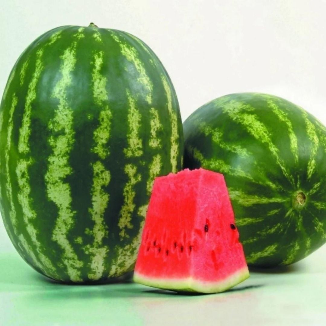 Karpuz Fidesi - Crimson Sweet(1 kasa / 48 adet )