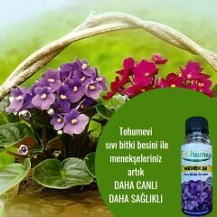 Menekşe İçin Sıvı Bitki Besini