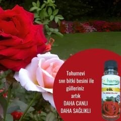 Güller için Sıvı Bitki Besini