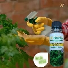 Yeşil Yapraklı Bitkiler İçin Sıvı Besin