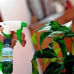 Yeşil Yapraklı Bitkiler İçin Sıvı Besin