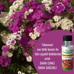 Çiçekli Bitkiler İçin Sıvı Besin