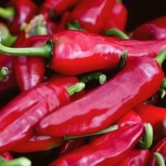 Hatay acı biberi - Samandağ biberi – Geleneksel