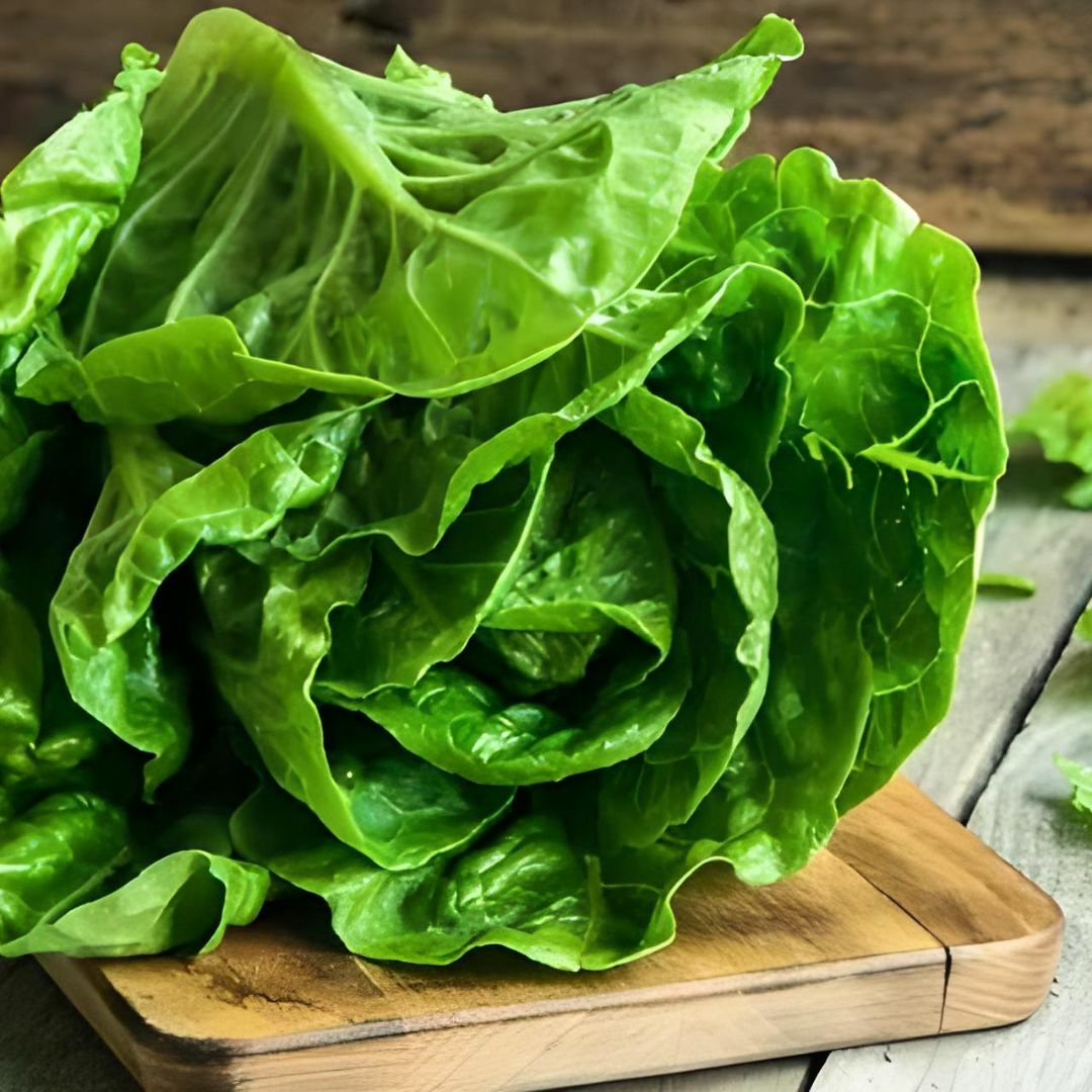 Yedikule Marul Tohumu – Geleneksel