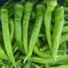 Demre Tatlı Biber Tohumu – Geleneksel