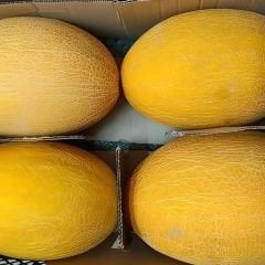 Ananas Kavun Tohumu Kokulu