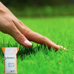 Akademi Dark Grass Çim Tohumu - 1 kg