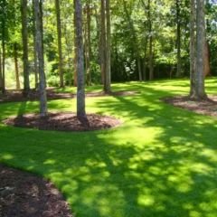 Genta Prestige Gölge Alan Çimi - Shaded Area Lawn - 1 kg