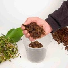 Nif Organik Orkide Toprağı - 5 lt