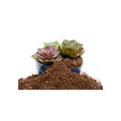 Genta Kaktüs ve Sukulent  Toprağı - Özel Karışımlı Organik Toprak 2,5 lt