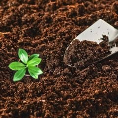 Genta Çiçekli Bitki Torfu 10 Lt / Leonardit Katkılı Doğal Ürün / Kullanıma Hazır / İç ve Dış Mekana Uygun