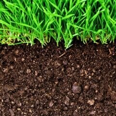 Genta özel çim kapak toprağı 20 kg - Eşsiz karışımlı çimlendirme harcı  - Köklendirici etkili - Kullanıma hazır  - Dengeli pH