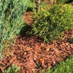 Çam Kabuğu (Sudan ve İşçilikten Tasarruf) 25 lt