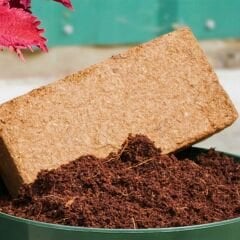 Genta Sıkıştırılmış Hindistan Cevizi Torfu  5 lt - Cocopit