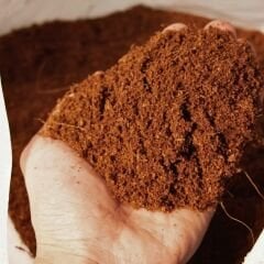 Genta Sıkıştırılmış Hindistan Cevizi Torfu  5 lt - Cocopit