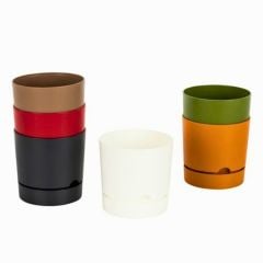 Poliwork Begonya12 Krem Saksı - 0,95 L