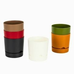 Poliwork Begonya15 Antrasit - 1,80 L