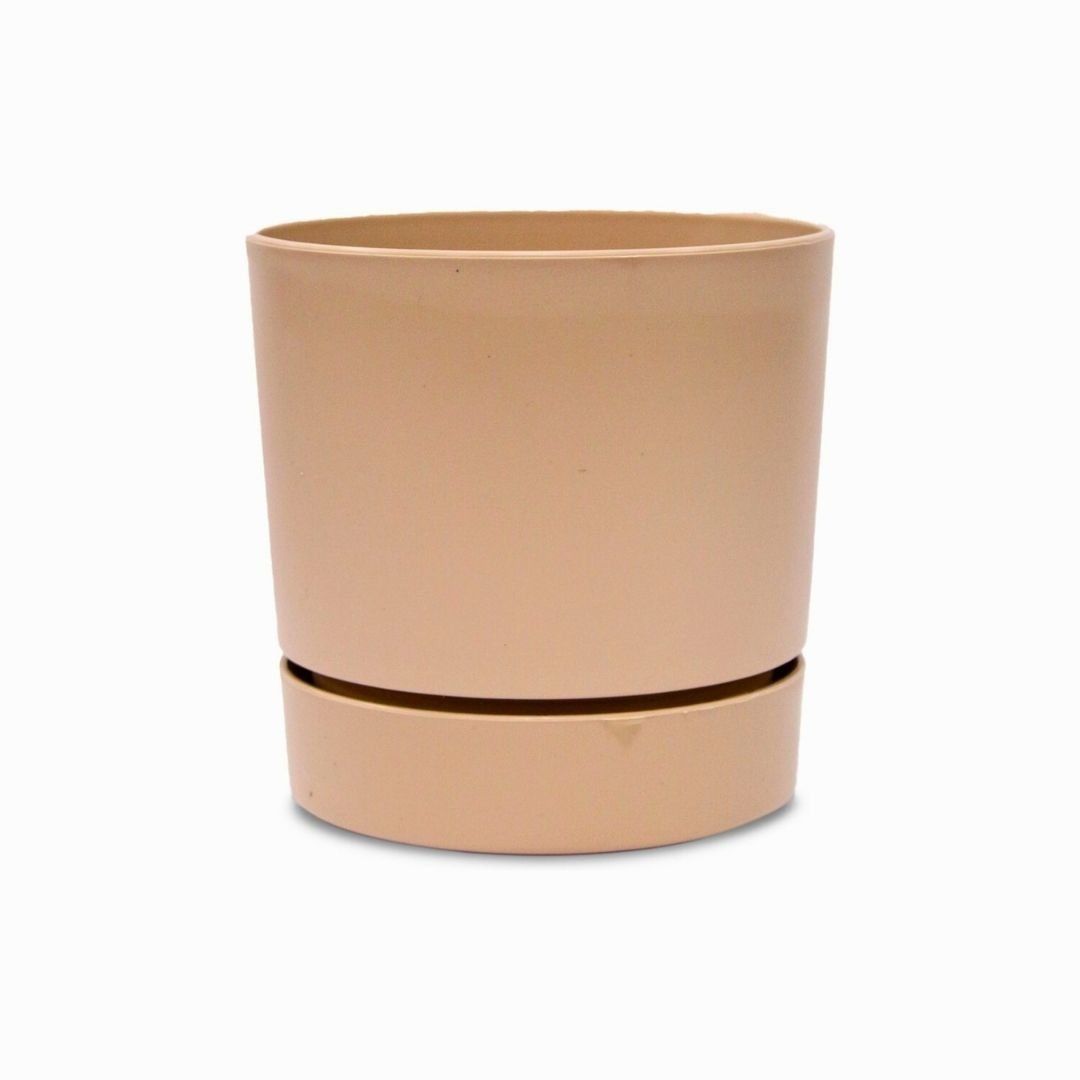 Poliwork Begonya18 Krem Saksı - 3,30 L