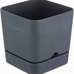 Poliwork Begonya Kare16 Antrasit Saksı - 2,30 L