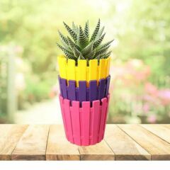 Poliwork Akasya Kaktüs 8,5 Pastel Mix Saksı - 0,42 L